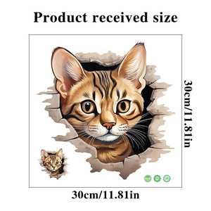 3D cartoon orange cat wall sticker dimension layout 30x30cm on white background
