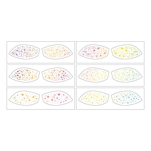Set of 6 gold stamping eyeshadow stickers with colorful star and butterfly patterns