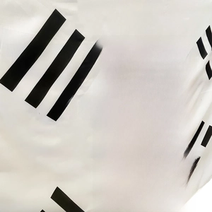 Close-up of the smooth polyester fabric texture and printed symbols of the South Korean flag