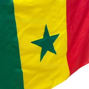 Close-up of Senegal national flag detail with green star and vertical tricolor stripes