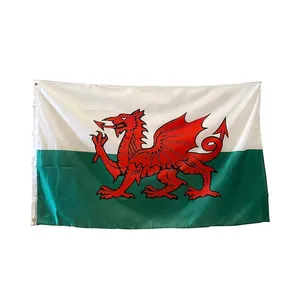 Wales national flag with red dragon and metal grommets on white and green background
