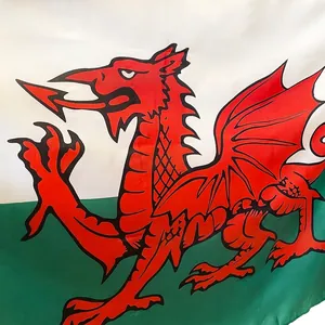 Wales national flag with red dragon design made of durable polyester 90x150cm