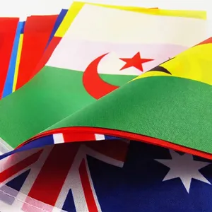Bandiere a corda Mondiali 2026 14*21cm in poliestere per decorazione di tifosi sport