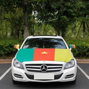 Detail of Cameroon flag design car hood cover and mirror covers on white vehicle