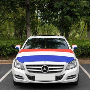 Detail of red white and blue striped car hood cover and side mirror caps on a sedan