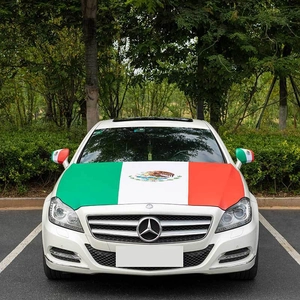 Detail of Mexico flag car hood cover and mirror socks on a white vehicle outdoors
