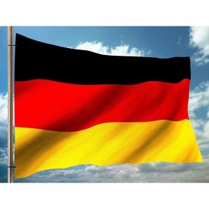 National Flag Polyester Banner With Brass Grommets For World Cup Sports Events Fan Support Decoration