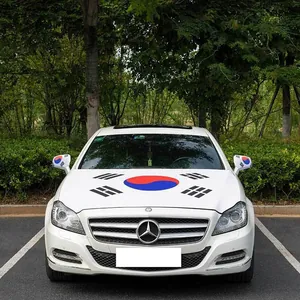 Detail of South Korean flag stickers on car hood and side mirrors for fans