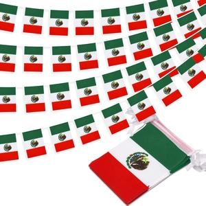 Detail of Mexico string flags with vivid colors and eagle emblem on white background