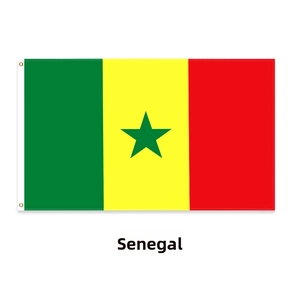 Detail of Senegal flag with vertical stripes, green star, and golden metal grommets