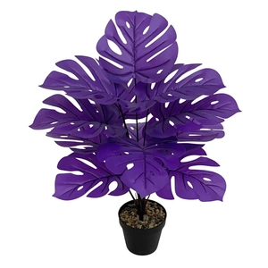 Close-up of artificial purple monstera deliciosa plant with realistic leaf textures