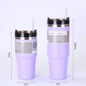 Insulated 20oz and 30oz stainless steel tumblers with straws for car and outdoor use