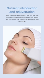 Detaildarstellung der Ultraschall-Nährstoff-Einführungsfunktion des Skin Scrubber-Geräts