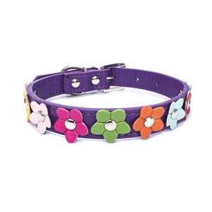 Close-up of a purple PU leather dog collar with colorful flowers and silver buckle
