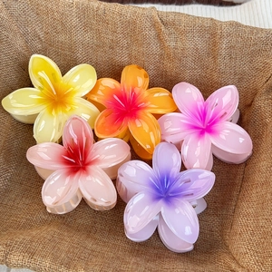 Five-piece set of gradient plumeria flower hair claws in a rustic woven basket