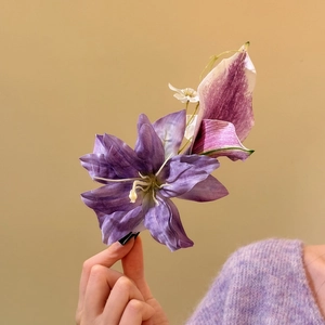 Detail view of an oversized purple floral hair clip with silk petals and elegant design