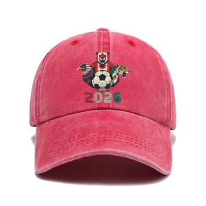 Macro detail of washed vintage cotton baseball cap with 2026 North America football print