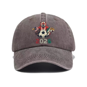 Detail of 2026 World Cup graphics on washed vintage dark grey cotton baseball cap