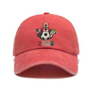 Vintage washed brick red baseball cap featuring 2026 World Cup soccer print for men