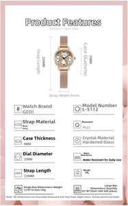Tableau des caractéristiques de la montre en maille or rose 25mm avec toutes les dimensions