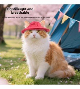 Outdoor close-up of a red pet sun hat on a cat featuring breathable fabric material