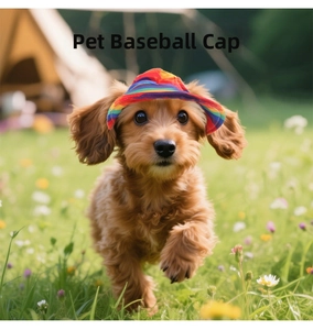 Rainbow striped pet baseball cap worn by a small dog on a sunny outdoor lawn