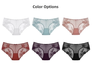Mostra colori di slip in pizzo in sei diverse tonalità con dettagli in mesh e fiocchetto