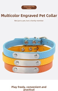 Detail showing adjustable leather pet collars in blue yellow and red with metal ID tags