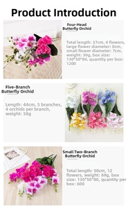 Detailed view showing multi-color orchid sizes with petals and stem measurements
