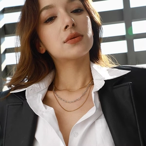 Close-up of layered two-tone necklace with gold snake chain and silver link details