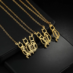 Detail of personalized cat-shaped gold pendants with custom names on a black jewelry box