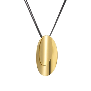 Minimalist dragonfly-style golden double oval pendant necklace with black cord on white background