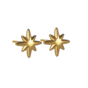 Minimalist 18K gold plated stainless steel north star earrings with matte finish on white back