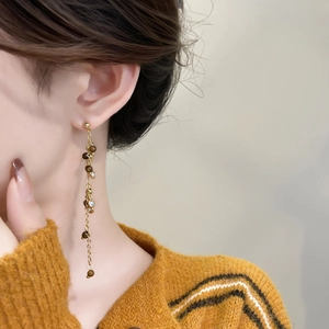 Close-up of elegant long tassel earrings with brown beads and zircons on a model
