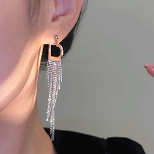 Detailed close-up of silver D-shape tassel earrings with shimmering crystals and fringe