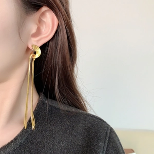 Detail of 18K gold-plated brass tassel earrings featuring smooth snake chain fringe