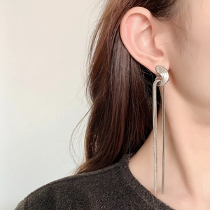 Silver chain fringe earrings featuring a knotted design and long snake bone tassels