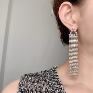 Gros plan de longues boucles d'oreilles argentées à franges et zircons portées