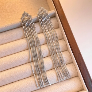 Detail of long silver tassel earrings with geometric beads and snake chains in a wooden box