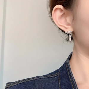 Silver leaf tassel zircon earrings shown on a model for a stylish dangling effect
