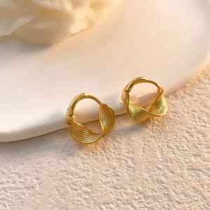 Twisted Braided Hoop Earrings French Minimalist Mesh Texture 18K Gold Plated Copper Jewelry For Women Chic Accessory