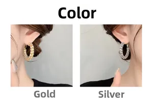 Detailed comparison of gold and silver hoop earrings featuring micro-pave cubic zirconia