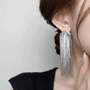 Vue détaillée de longues boucles d'oreilles argentées à franges avec chaînes sur modèle
