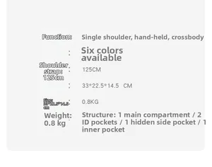 Detailed size chart for large tote bag showing dimensions 33x22.5x14.5 cm and 0.8 kg weight