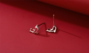 Detailed view of silver dolphin stud earrings with polished finish on red background