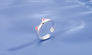 Details von rosa Emaille-Katzenohren und Pfotenabdruck am silbernen Ring