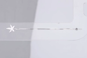 Detailed shot of long silver tassel earrings featuring a textured star pendant on box chain