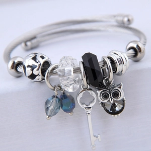 Stainless steel beaded bangle with owl pendant and blue crystal charms for women