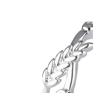 Macro de la bague en forme de feuille de laurier argentée avec détail en zircon