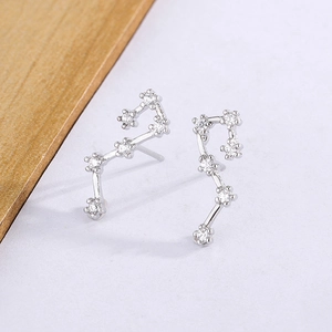 Macro shot of silver constellation stud earrings featuring sparkling cubic zirconia stones